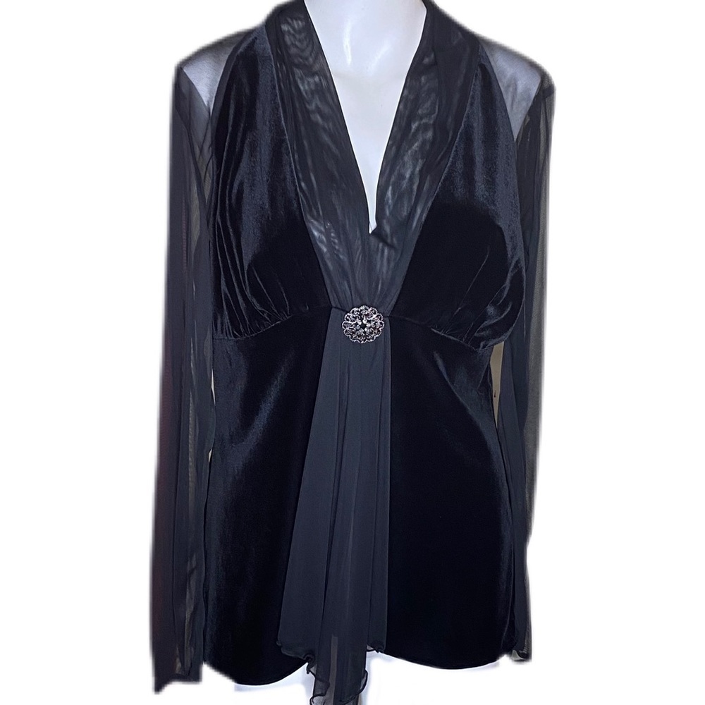 Blu Sage Holiday Blouse Black Sheer Sleeves & Back Velvet Bodice Size L